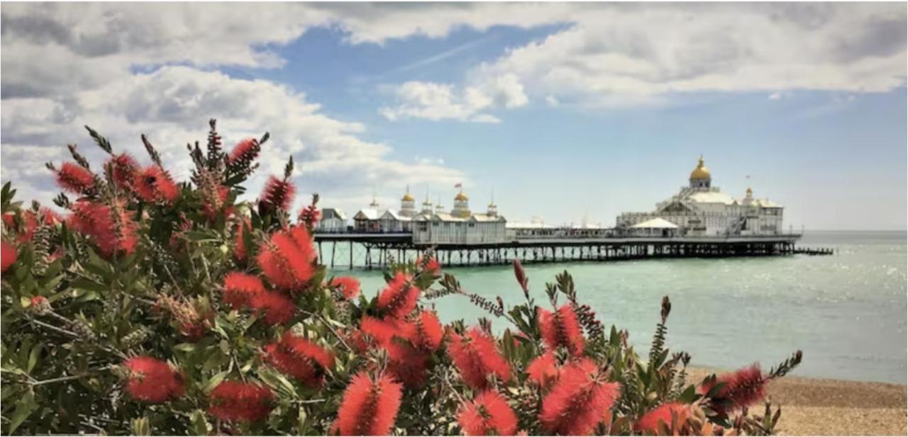 Burlington Palace Eastbourne Seafront Villa With Garden. Екстер'єр фото